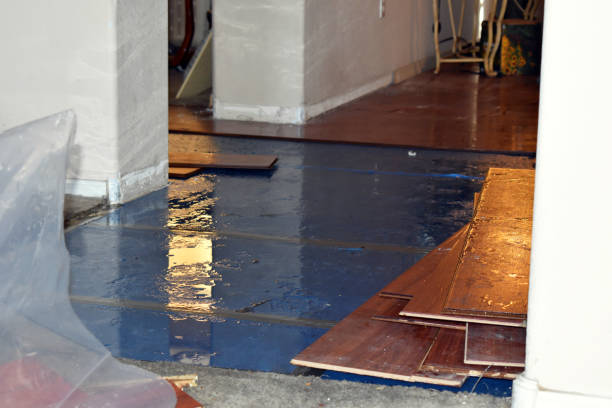 Professional Emergency Water Damage Restoration technician working in Mesopotamia, OH